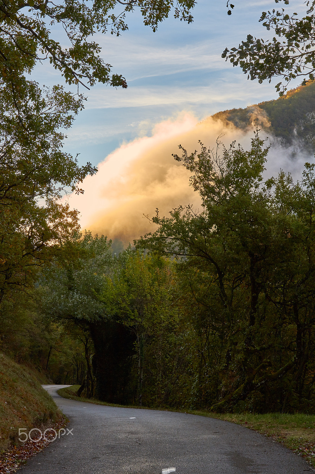 Sigma 24-70mm F2.8 EX DG HSM sample photo. Morning fog photography