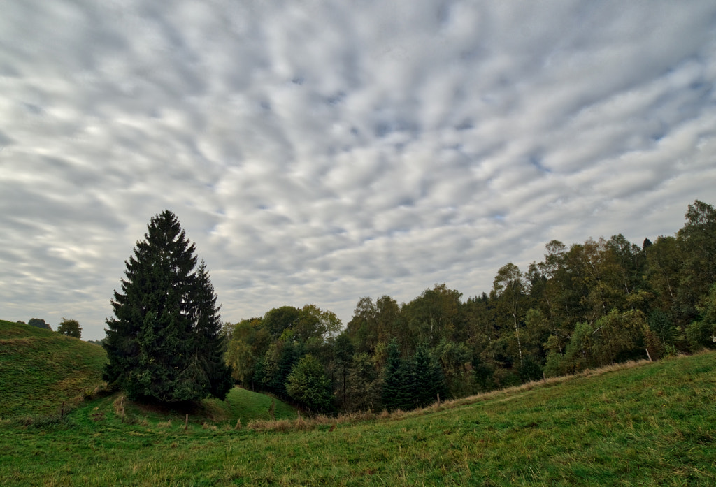 wetterfichte by dirk derbaum on 500px.com