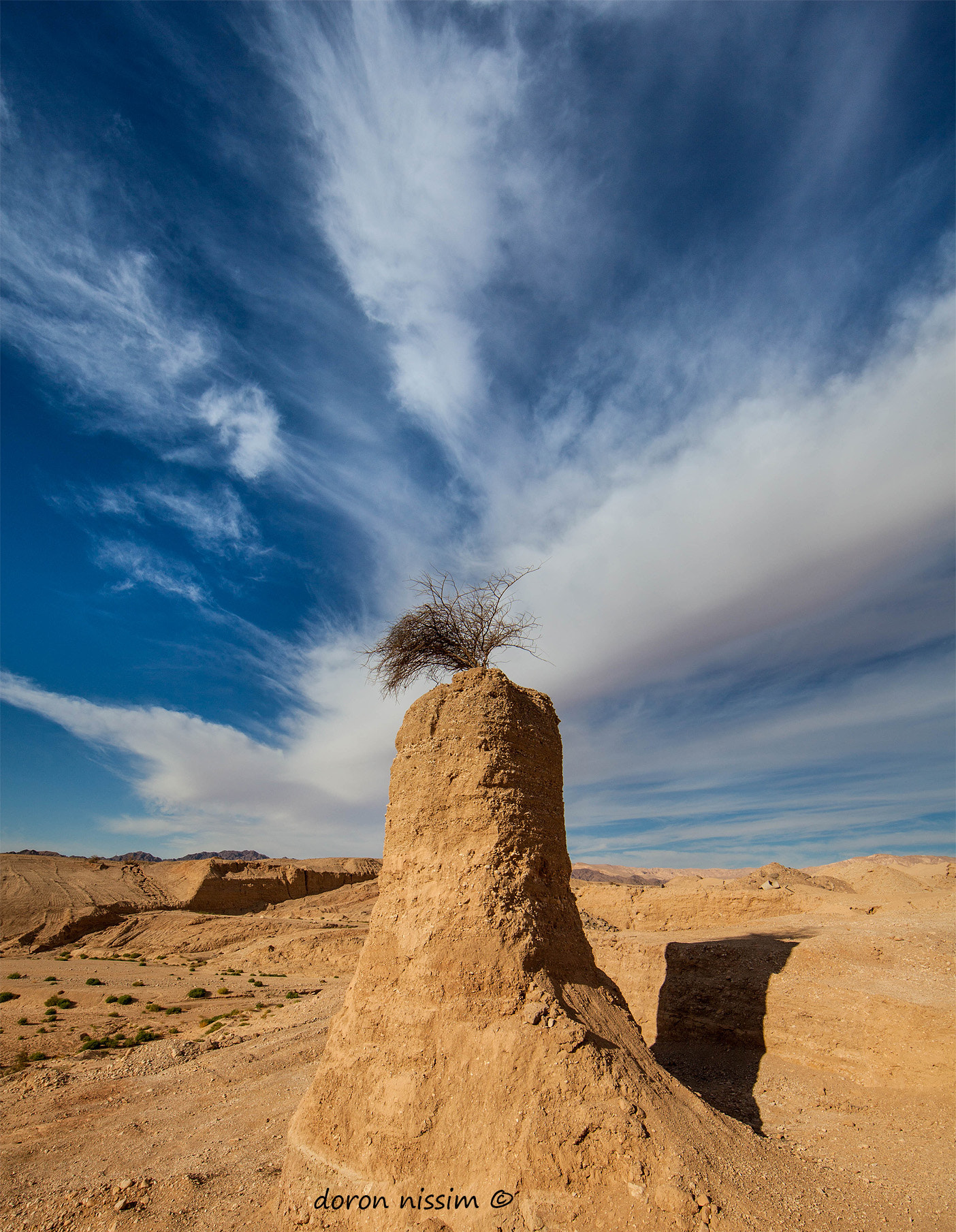 Canon EF 14mm F2.8L II USM sample photo. Art in the desert photography