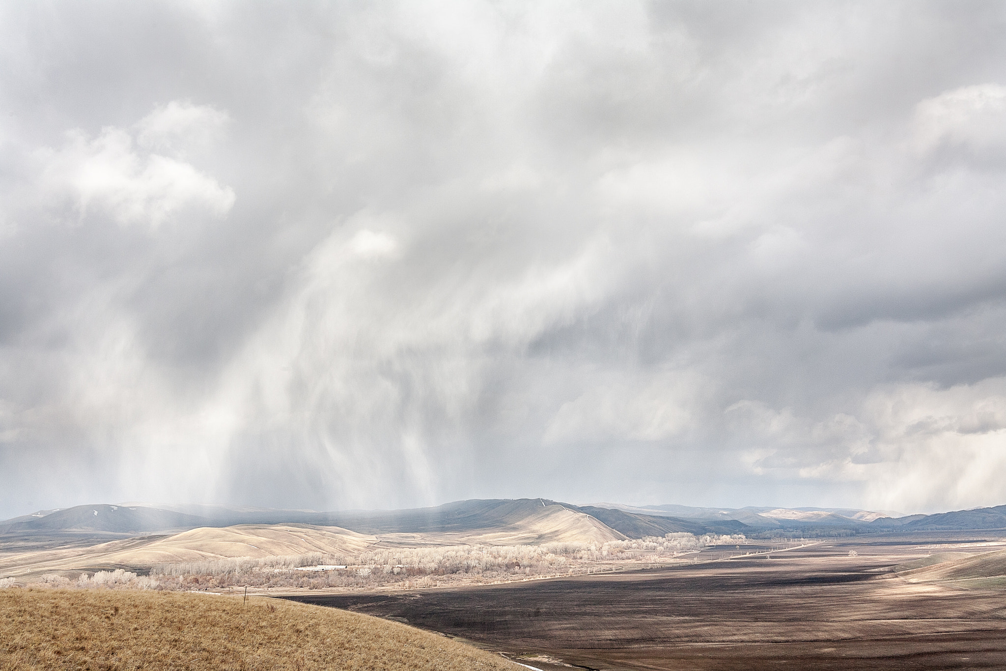 Canon EOS 5D sample photo. Rain in steppe photography