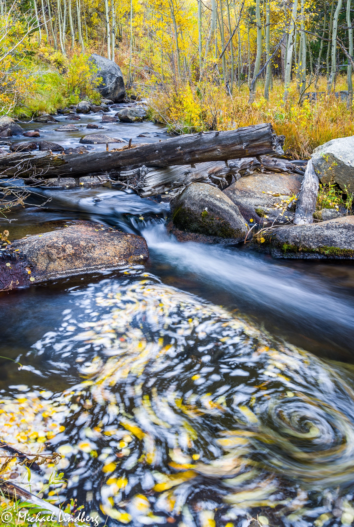 Tamron AF 28-75mm F2.8 XR Di LD Aspherical (IF) sample photo. Eddy photography