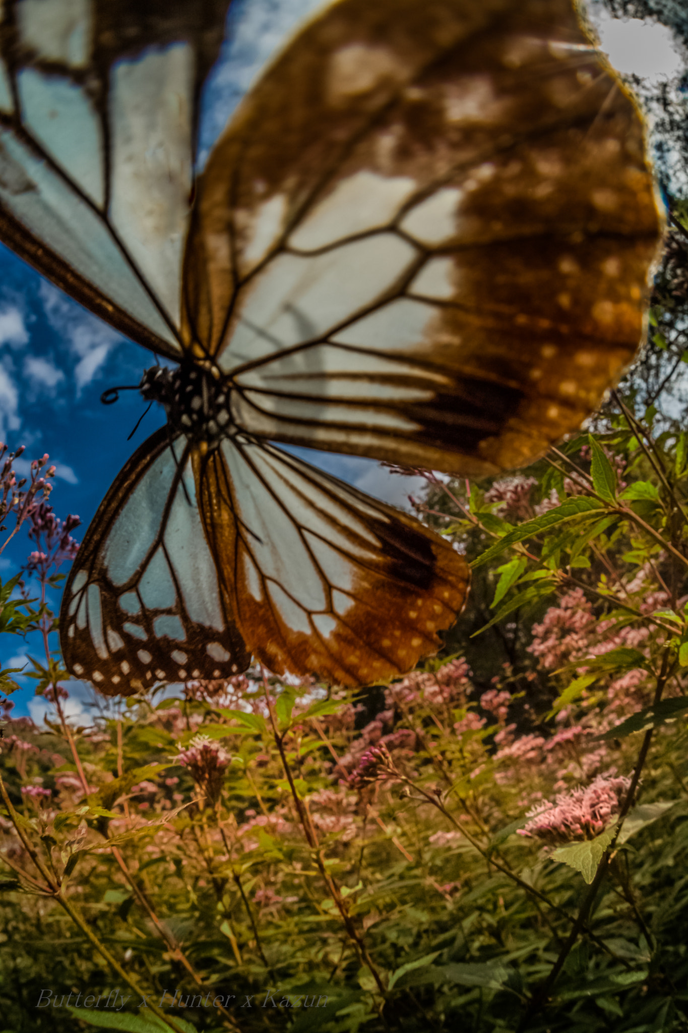 Nikon D5 + Sigma 15mm F2.8 EX DG Diagonal Fisheye sample photo. ( Д) ﾟ ﾟ photography