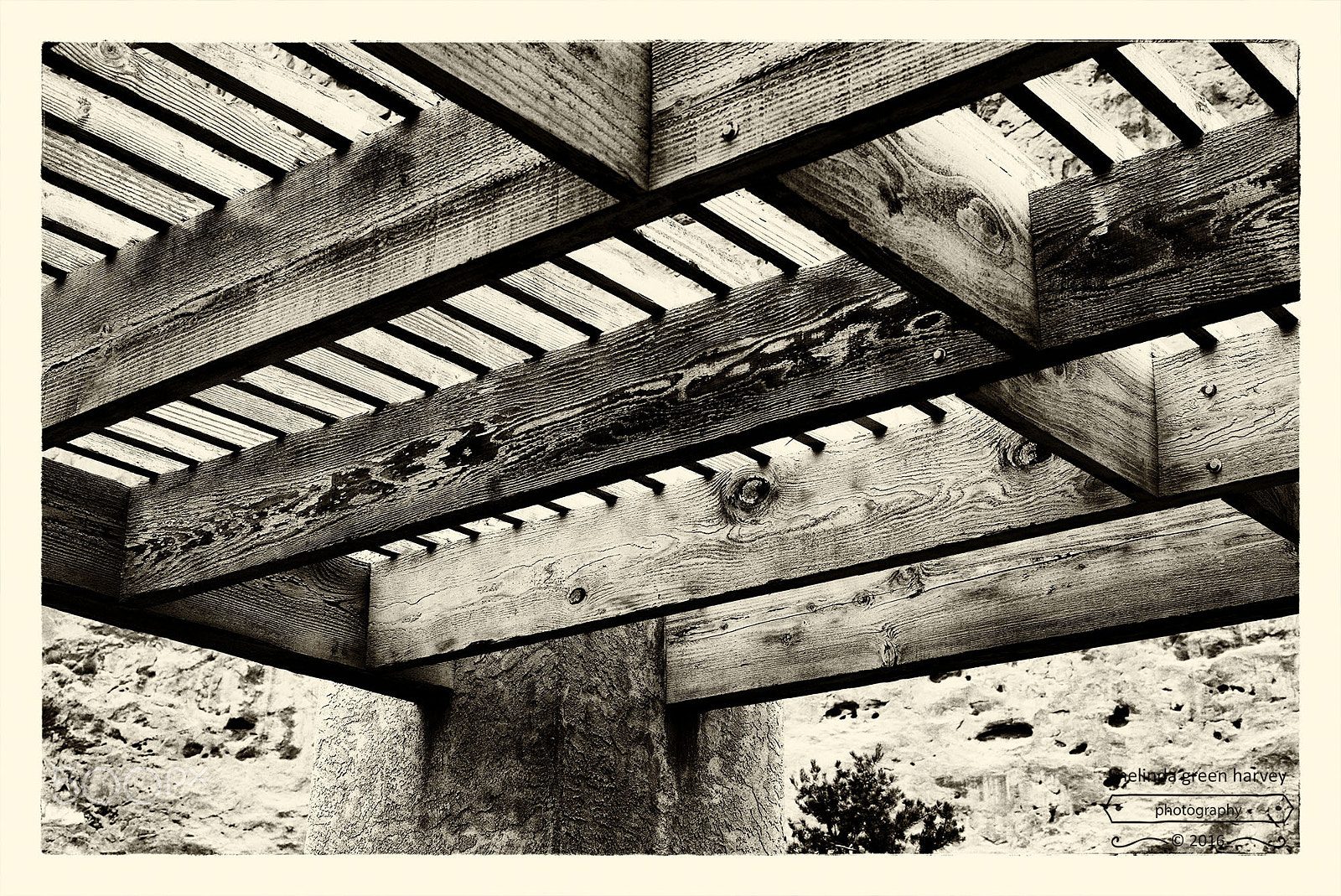 Leica Summarit-M 50mm F2.4 sample photo. Pergola photography
