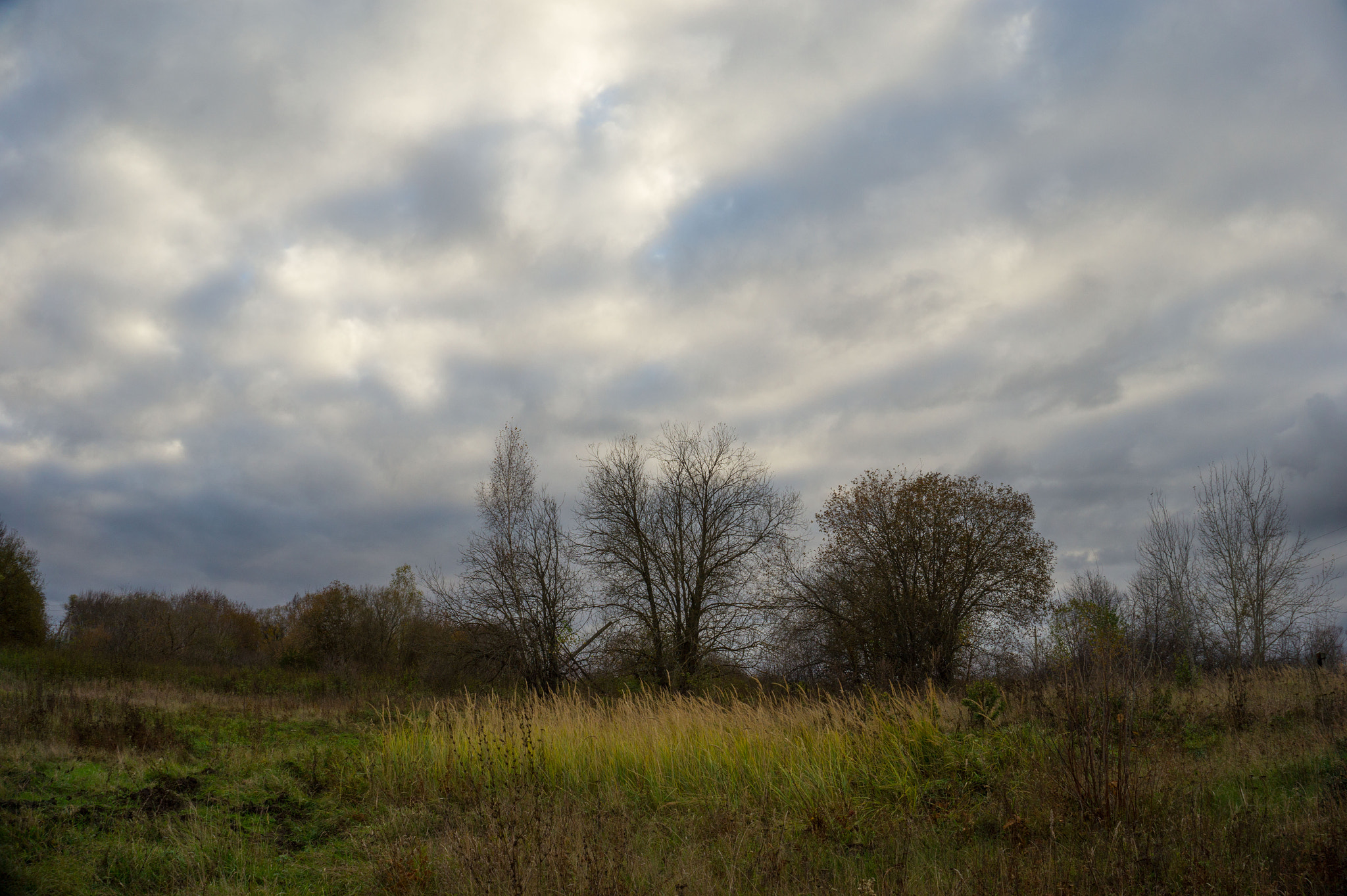 E 18-50mm F4-5.6 sample photo. с photography