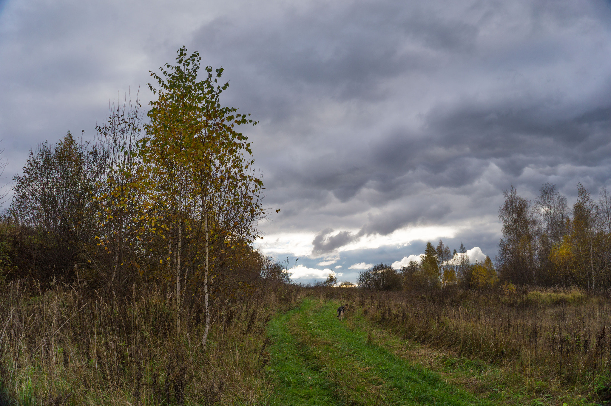 E 18-50mm F4-5.6 sample photo. с photography