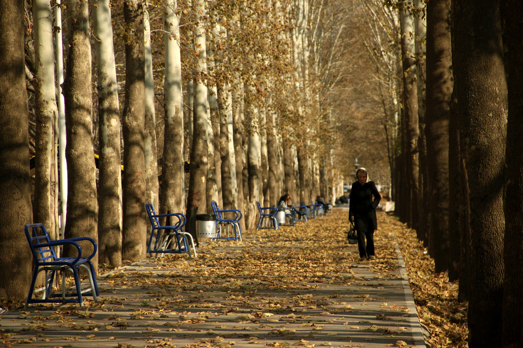 Canon EOS 500D (EOS Rebel T1i / EOS Kiss X3) sample photo. Autumn...  photography