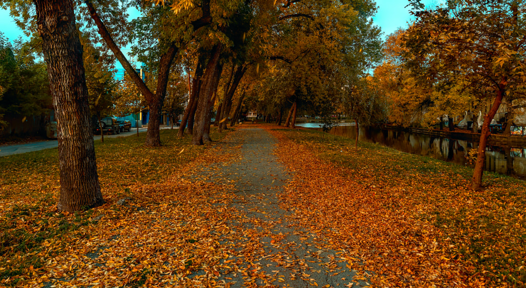 Autumn 007 by Milen Mladenov on 500px.com