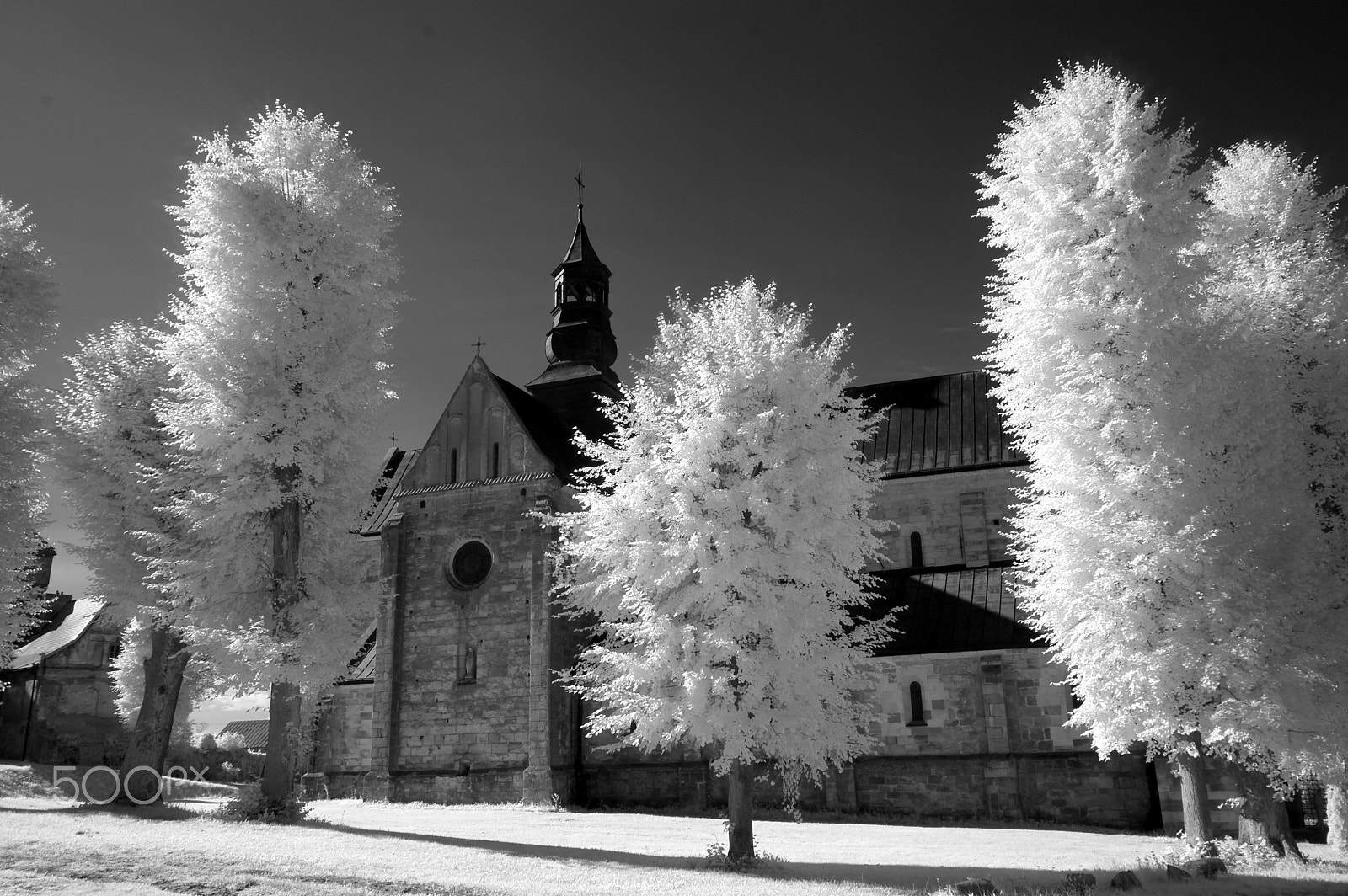 Samsung NX100 sample photo. Opactwo cystersów w sulejowie photography