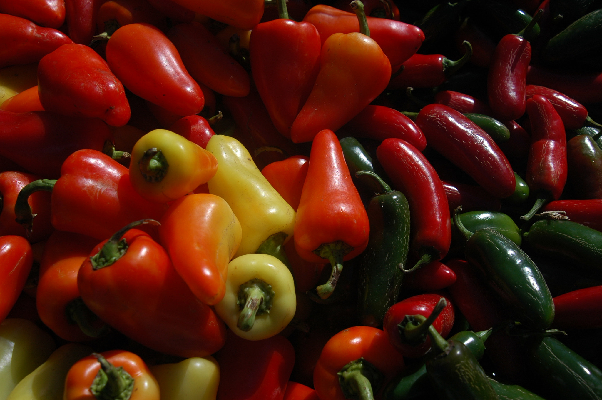 Nikon D70s + AF Zoom-Nikkor 24-120mm f/3.5-5.6D IF sample photo. Colorful peppers photography