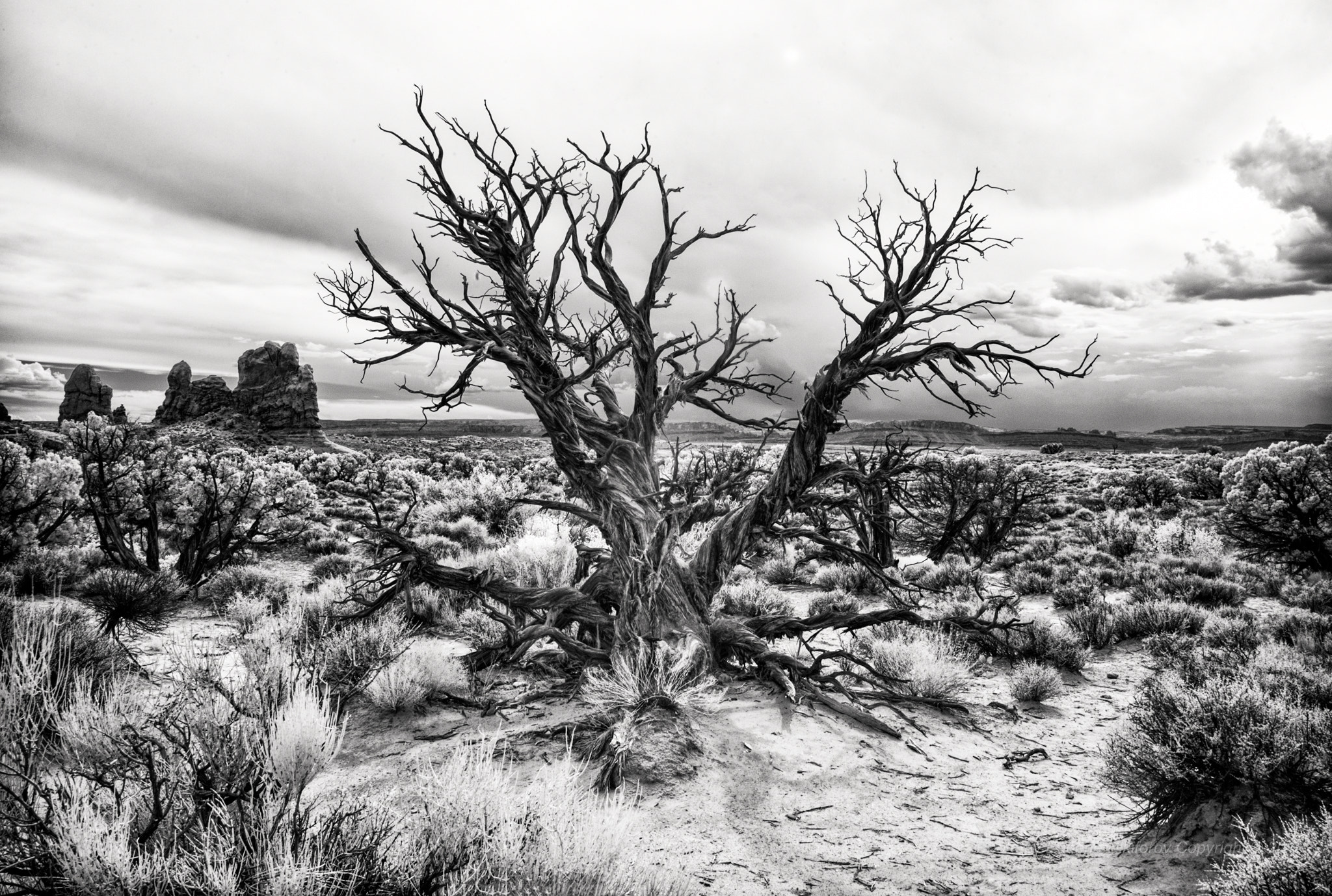 Leica M8 sample photo. Untitled, arches national park, utah photography