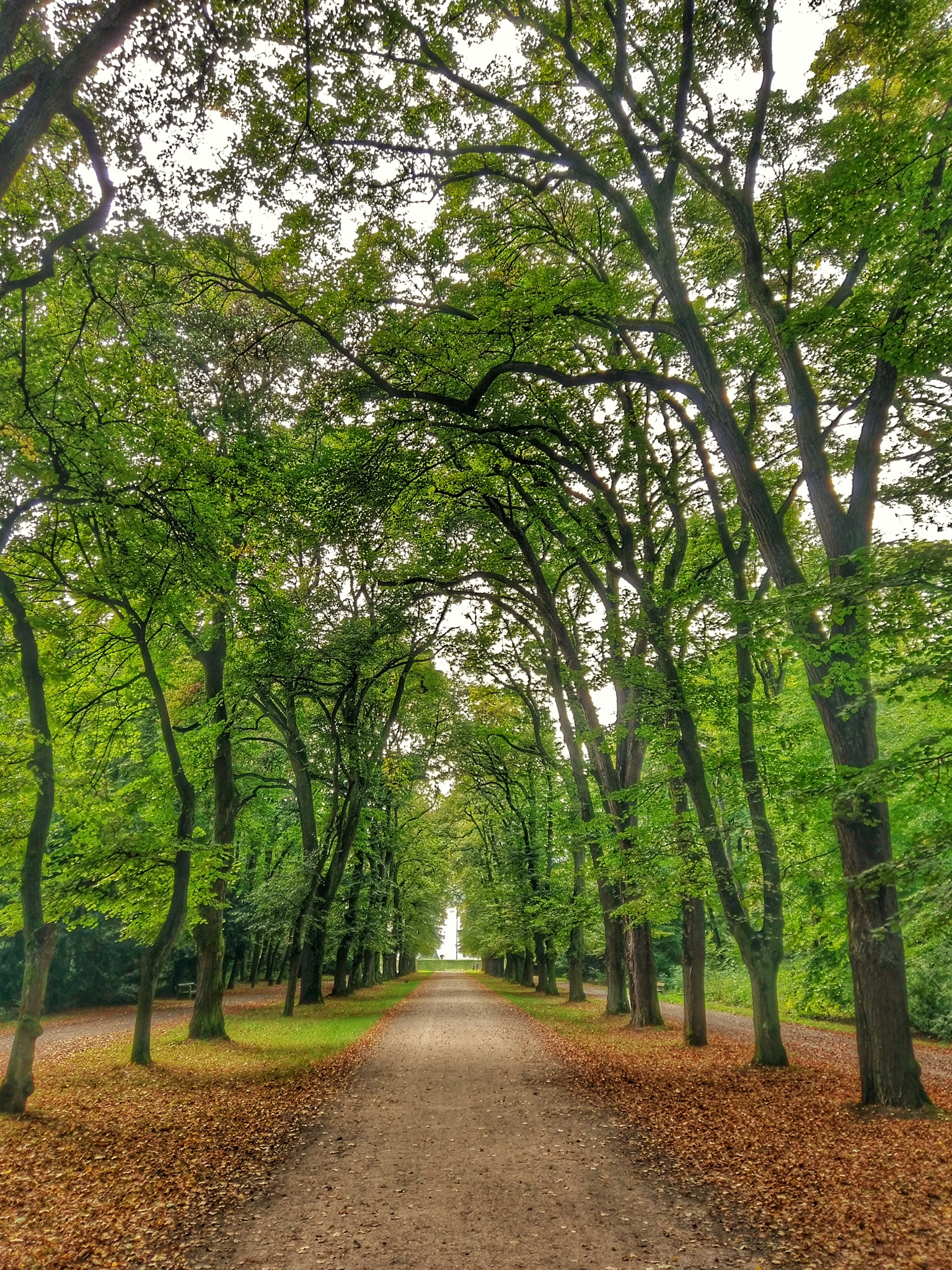 HTC M10 sample photo. Autumn  photography