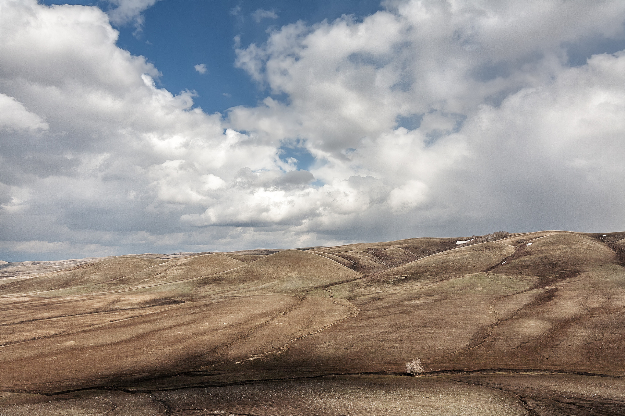 Canon EOS 5D sample photo. Lonely tree in steppe photography
