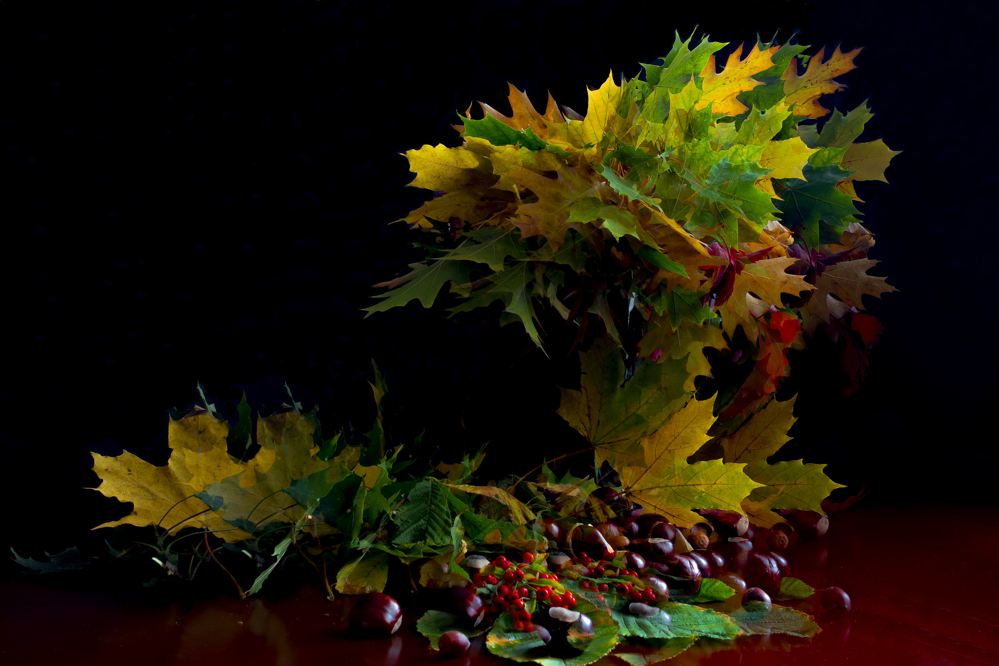 Canon EF 35mm F1.4L II USM sample photo. Autumn's beauty photography