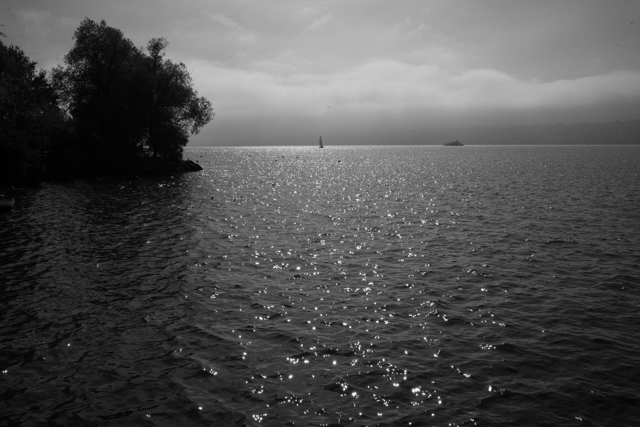 Leica Summilux-M 35mm F1.4 ASPH sample photo. Zürichsee (lake zurich) photography