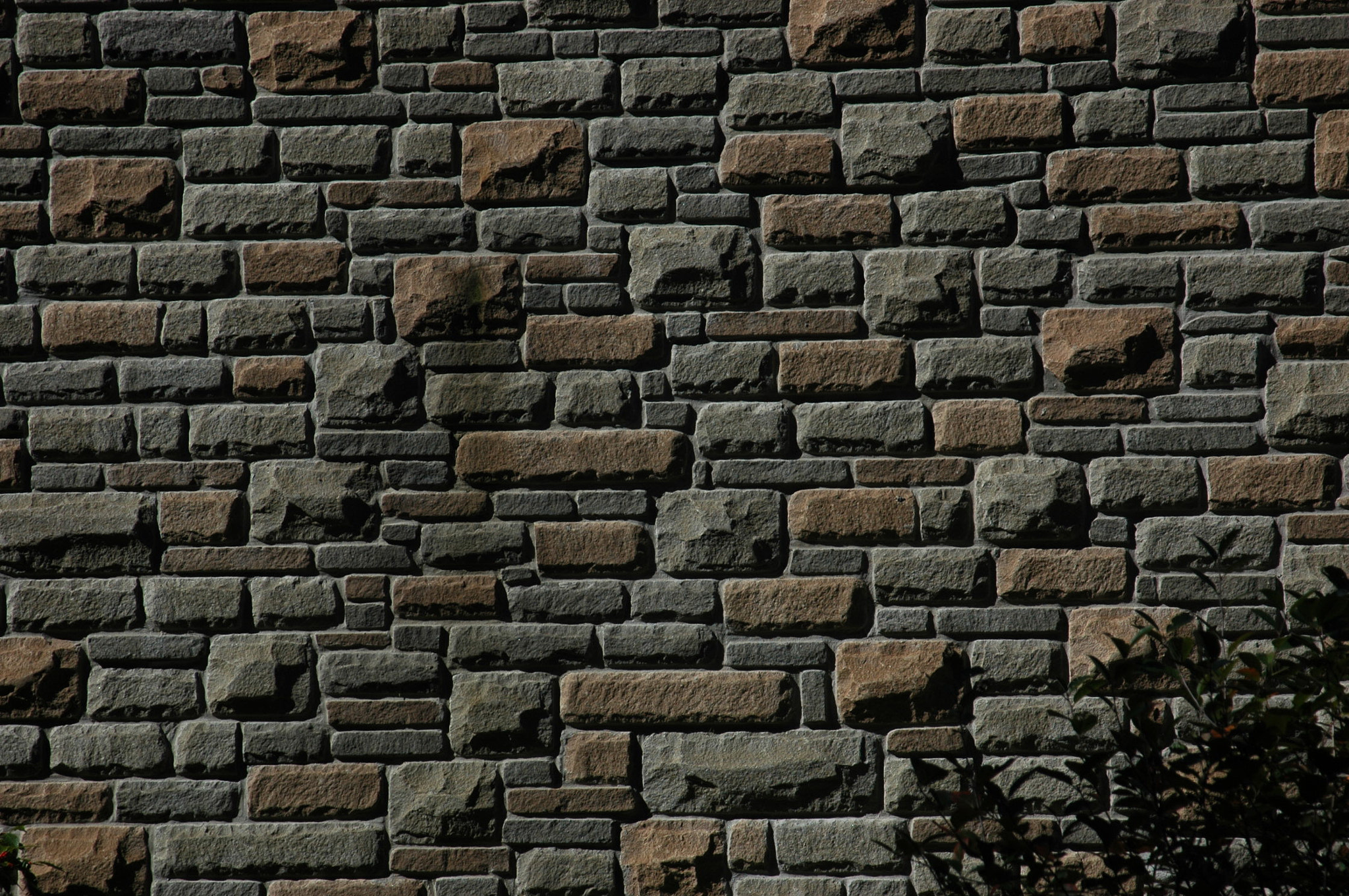 Nikon D70s + AF Zoom-Nikkor 24-120mm f/3.5-5.6D IF sample photo. Beautiful wall photography