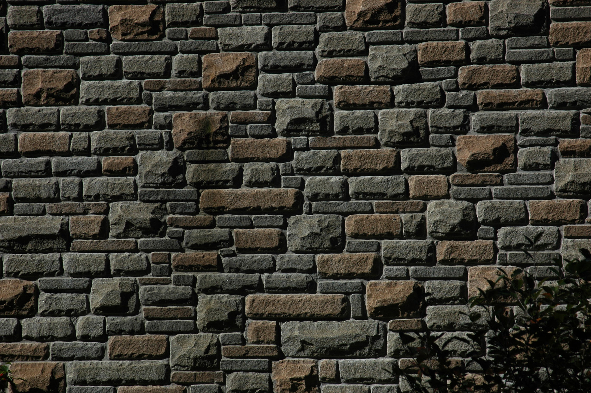 AF Zoom-Nikkor 24-120mm f/3.5-5.6D IF sample photo. Beautiful wall photography