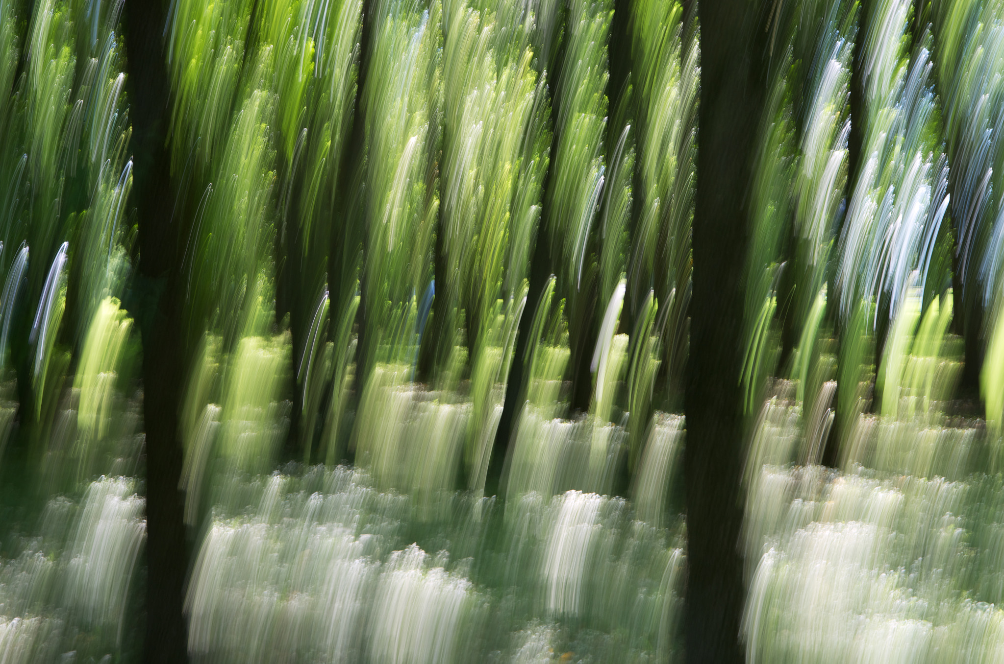 Pentax K-5 II sample photo. Park impressionism - joliette, qc (2016) photography