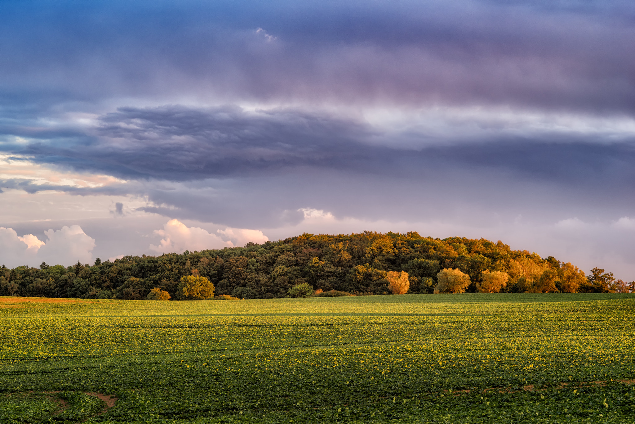 Pentax K-1 sample photo. Rural autumn evening iii photography