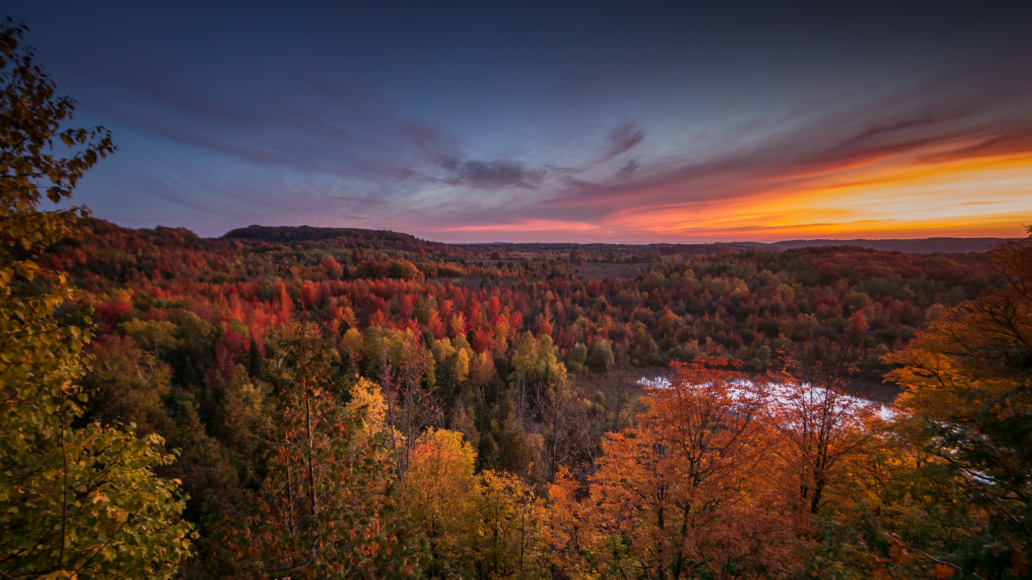 Summicron-M 1:2/90 Leitz sample photo. Fall morning over a hardwood forest.jpg photography