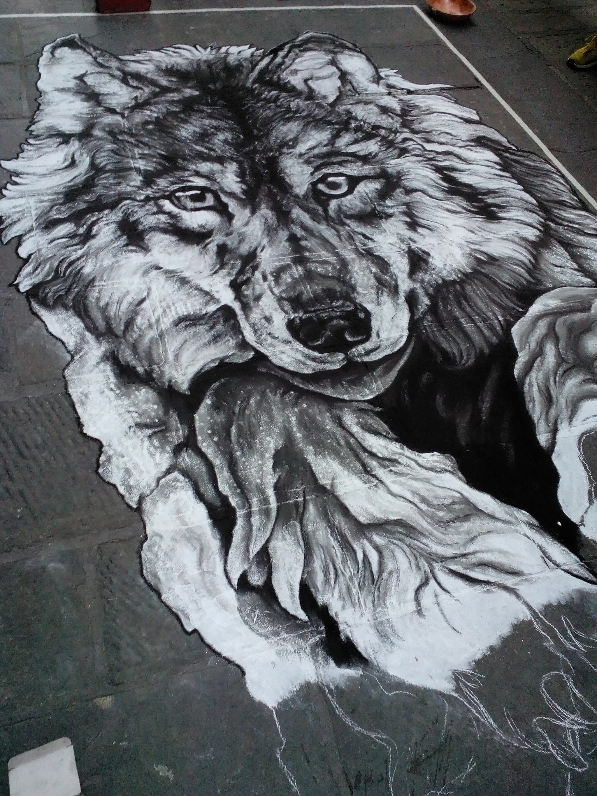 HUAWEI G700-U10 sample photo. The wolf - street art photography