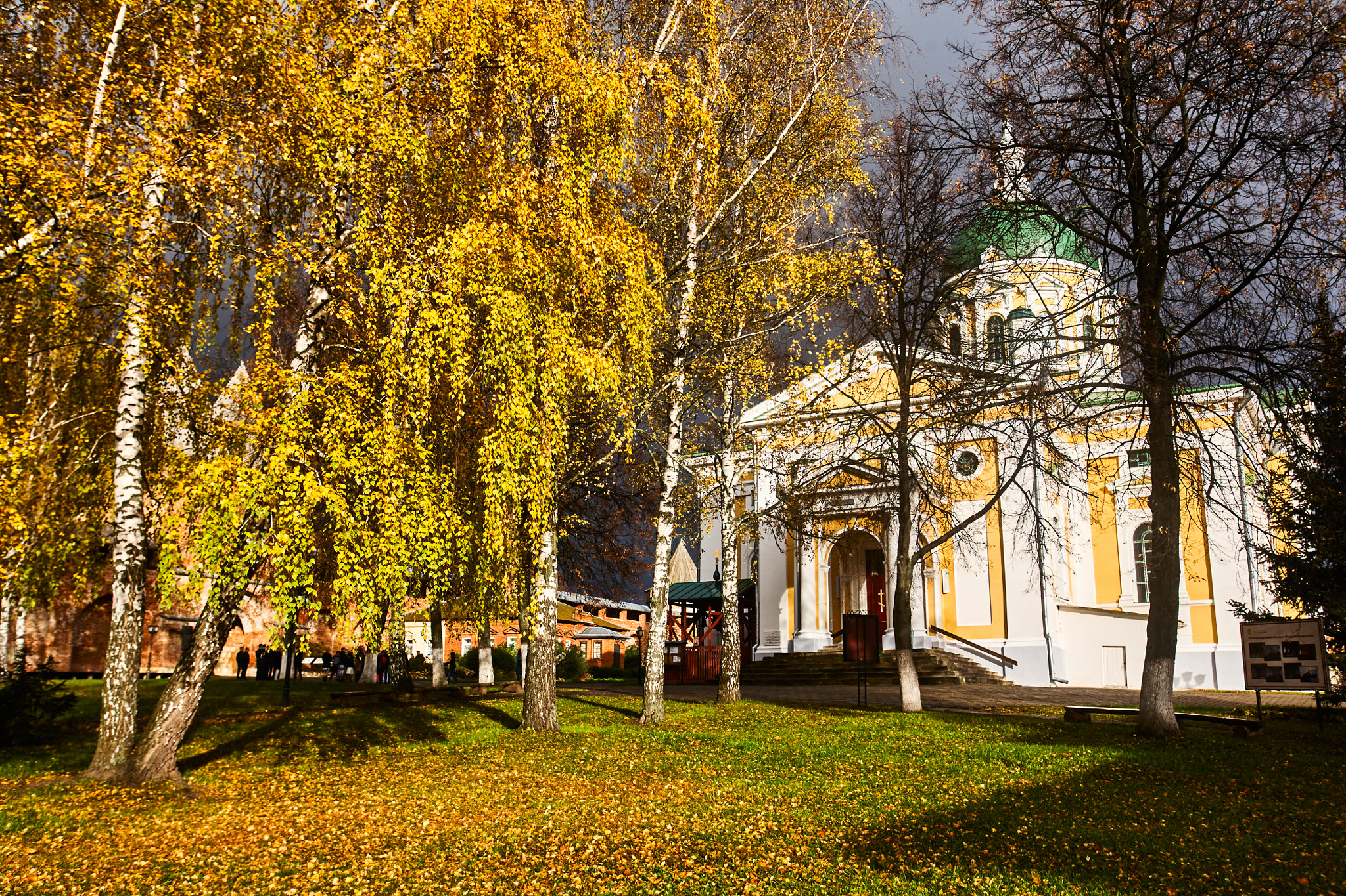 Canon EF 16-35mm F2.8L USM sample photo. Zaraysk cathedral photography