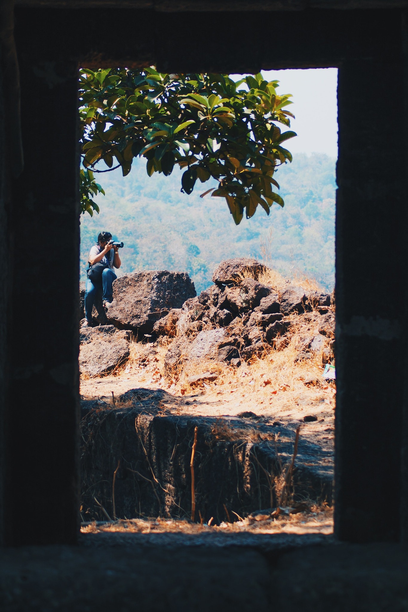 Nikon D40 sample photo. Framed while framing photography