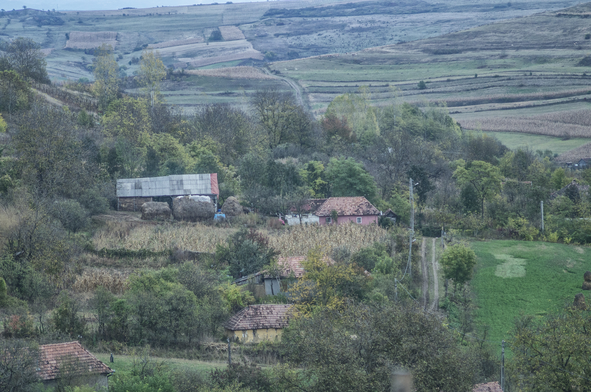 Sony SLT-A57 + Minolta AF 35-105mm F3.5-4.5 sample photo. The forever living countryside photography