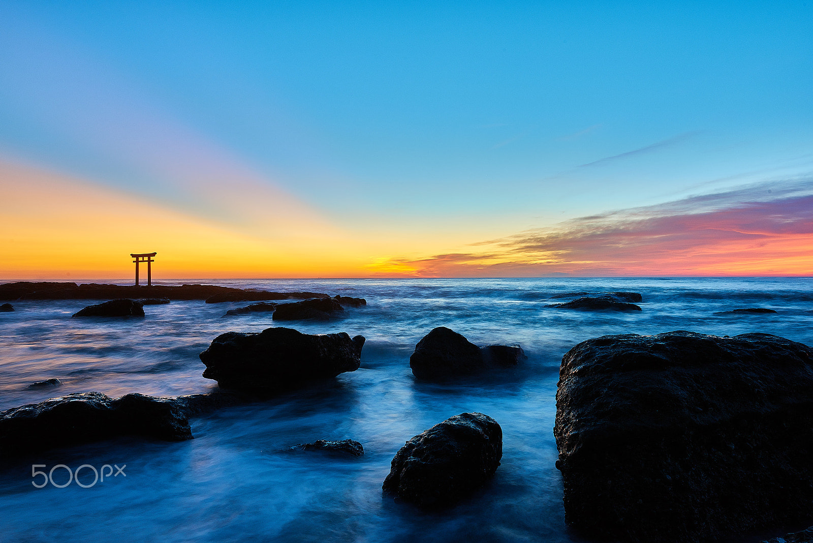 Nikon AF-S Nikkor 24-70mm F2.8G ED sample photo. Fire bird photography