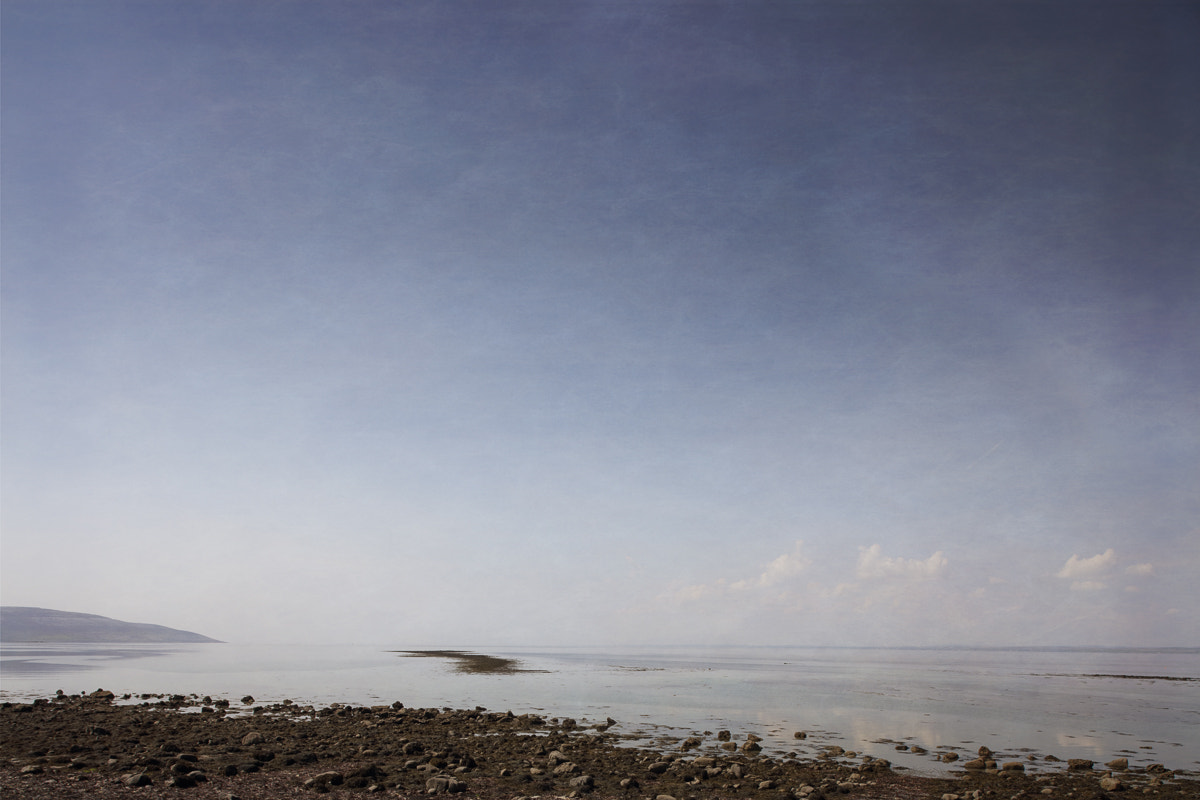 Canon EOS 5DS + Canon TS-E 24mm f/3.5L sample photo. The flaggy shore photography
