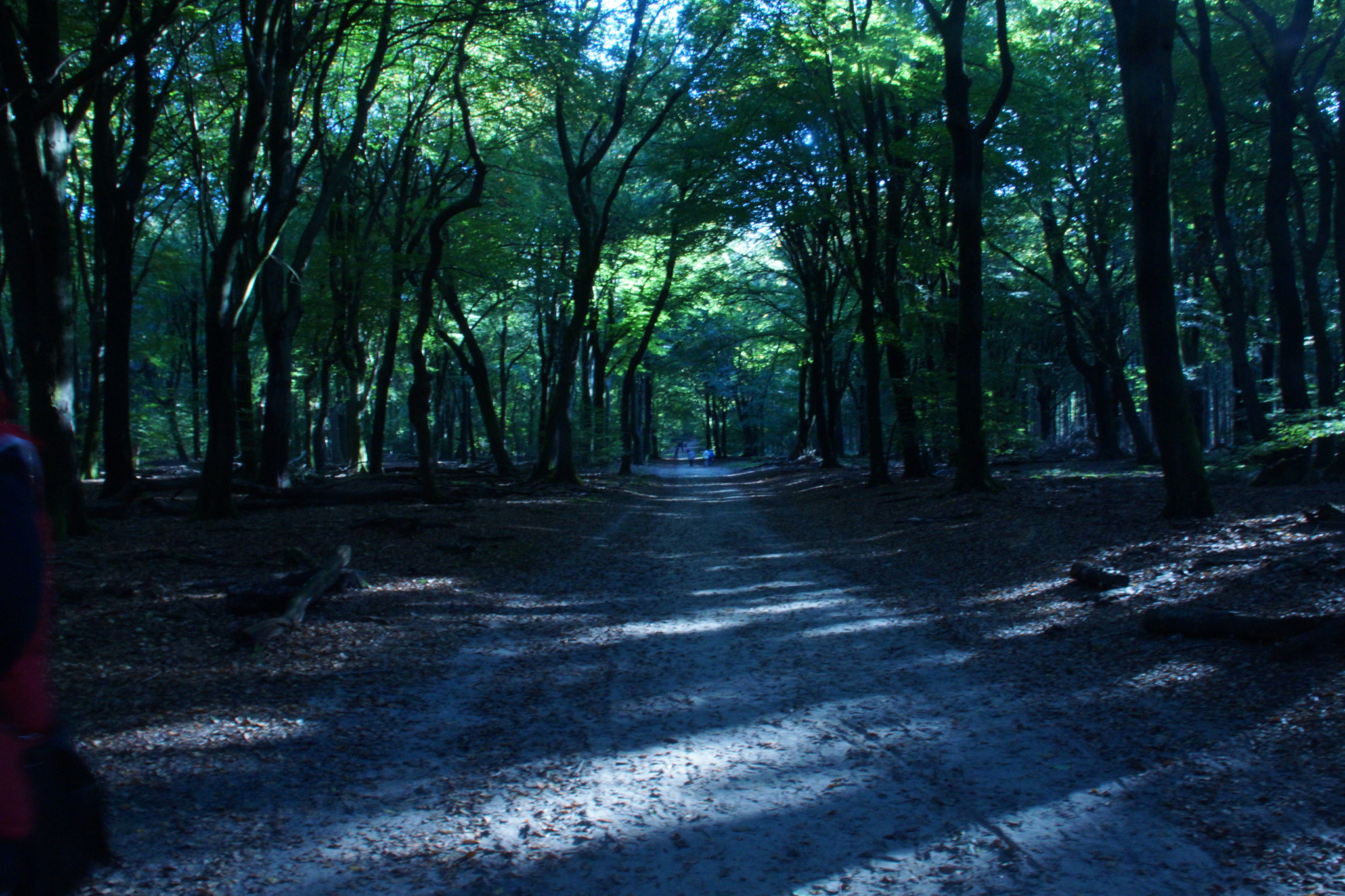 Sony DT 18-200mm F3.5-6.3 sample photo. Dsc photography