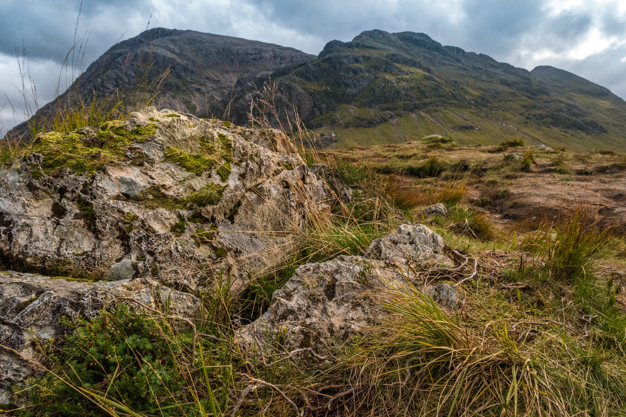 Samsung NX500 sample photo. Scotland nature 4 photography