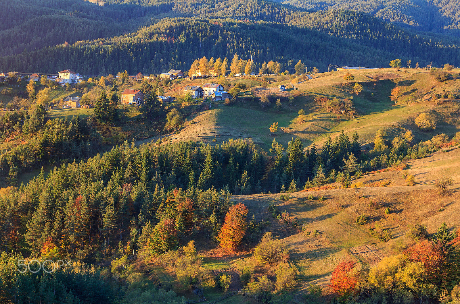 Canon EF-S 55-250mm F4-5.6 IS sample photo. Autumn carpet photography