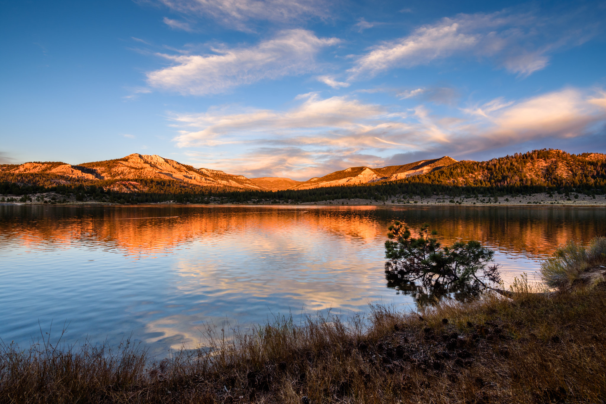 Samyang 14mm F2.8 ED AS IF UMC sample photo. Sunset at pine lake photography