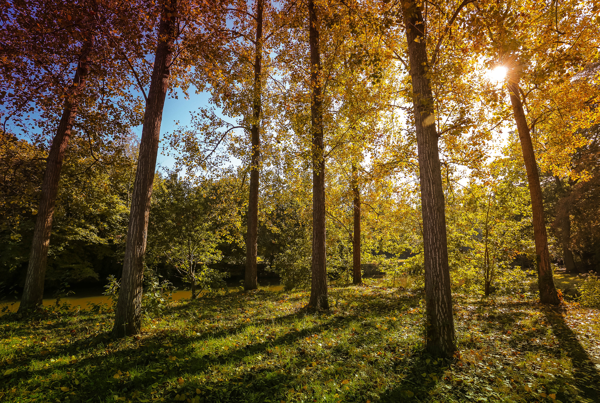 Canon EF 16-35mm F4L IS USM sample photo. Genneper parken photography