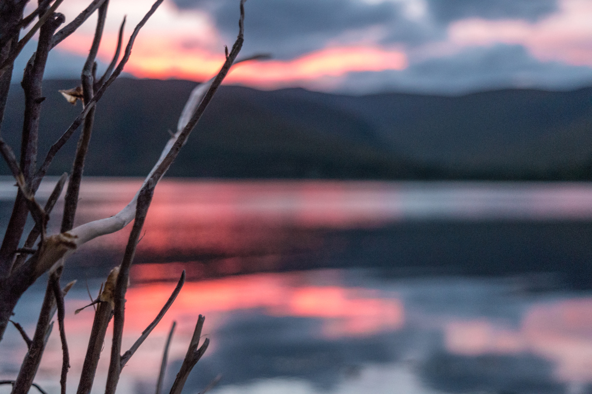 Samsung NX500 sample photo. Scotland nature 6 photography