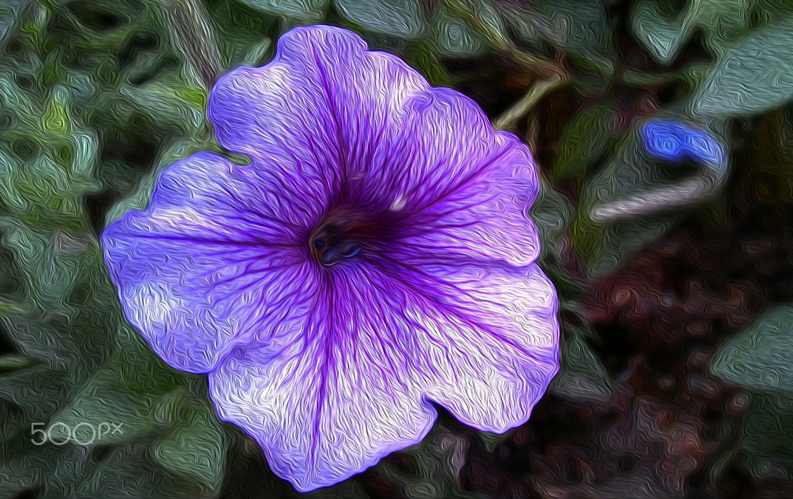 ASUS T00G sample photo. Flower in purple photography