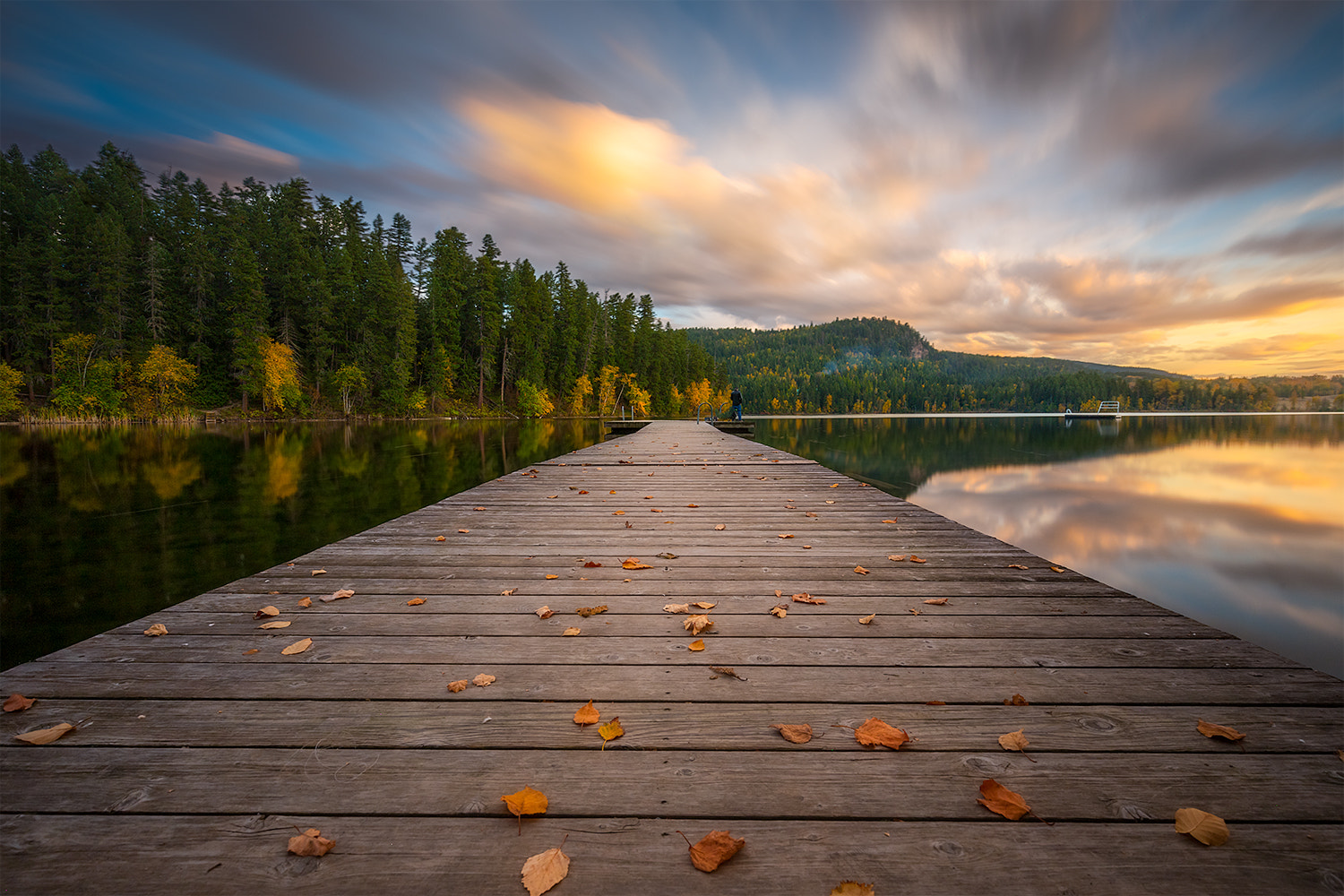 Canon EF 16-35mm F4L IS USM sample photo. Gardom lake photography