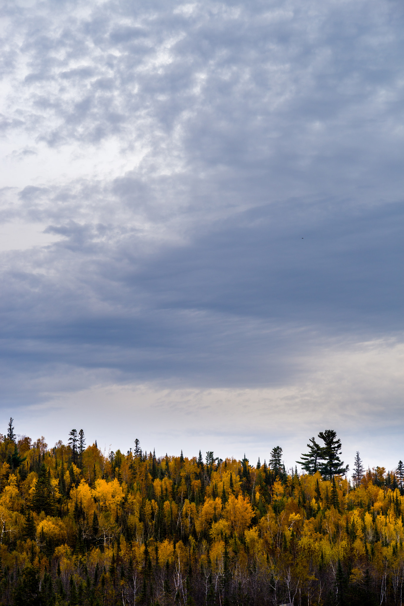 Pentax K-1 sample photo. Fall weather photography