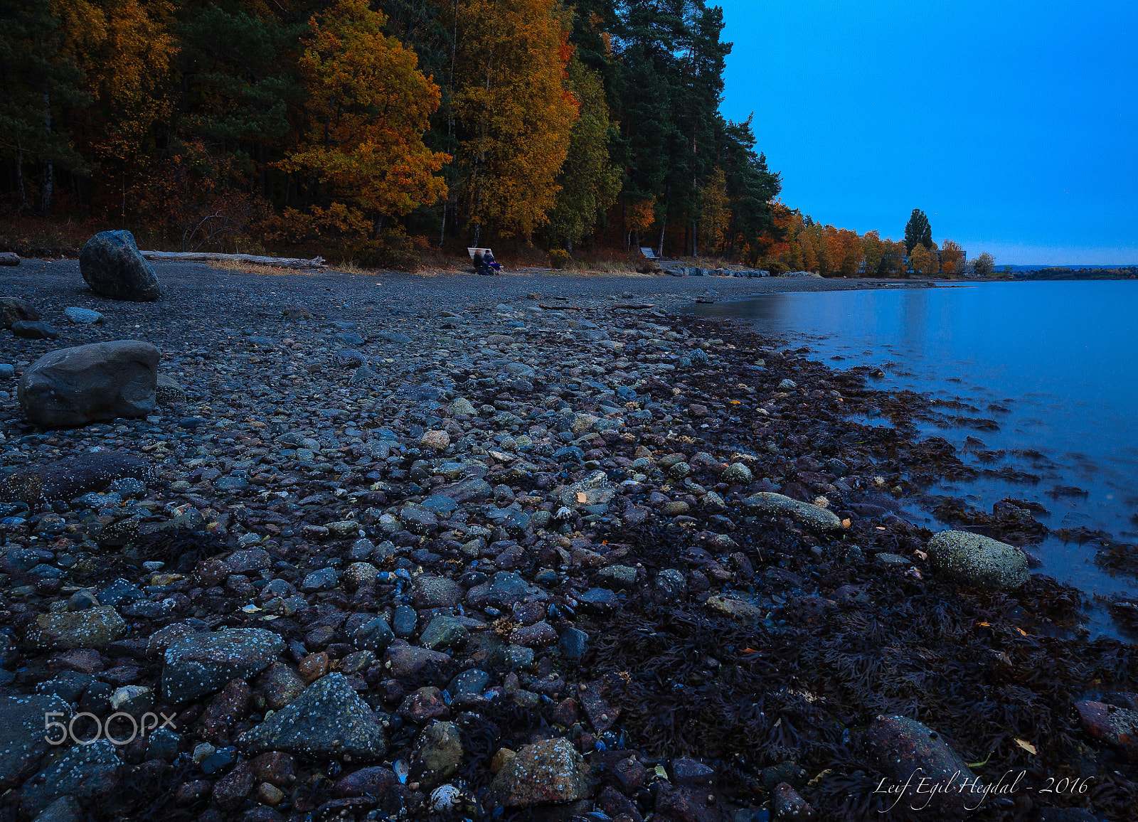 Canon EF 16-35mm F4L IS USM sample photo. Fall evening photography