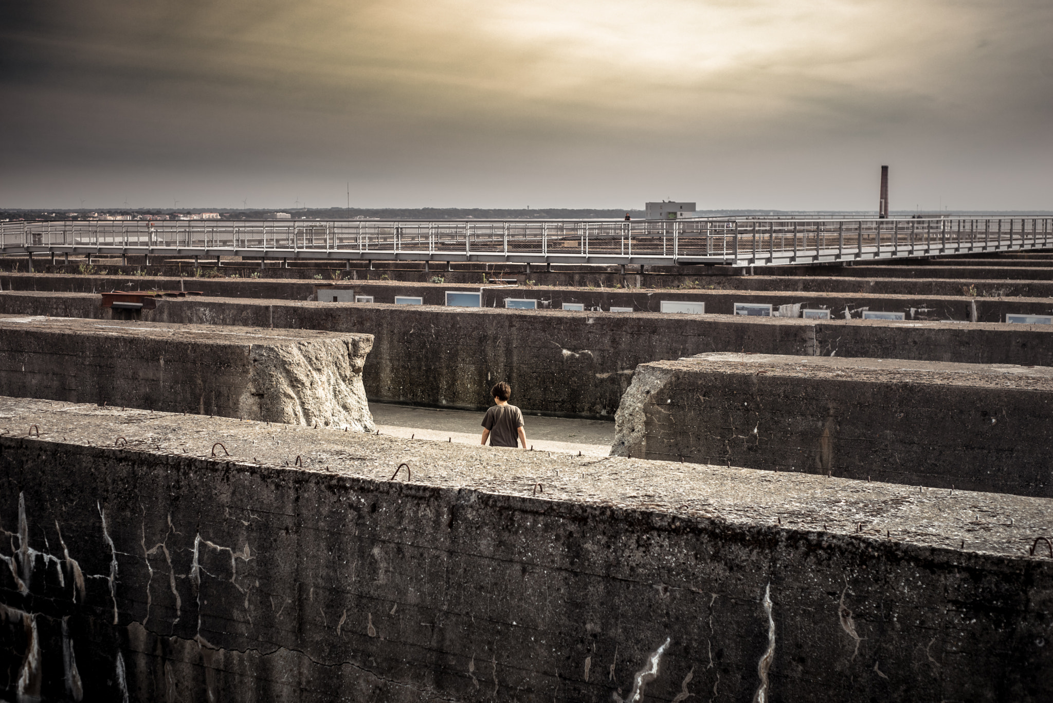 Nikon D610 + AF Nikkor 50mm f/1.8 sample photo. Another brick out of the wall photography