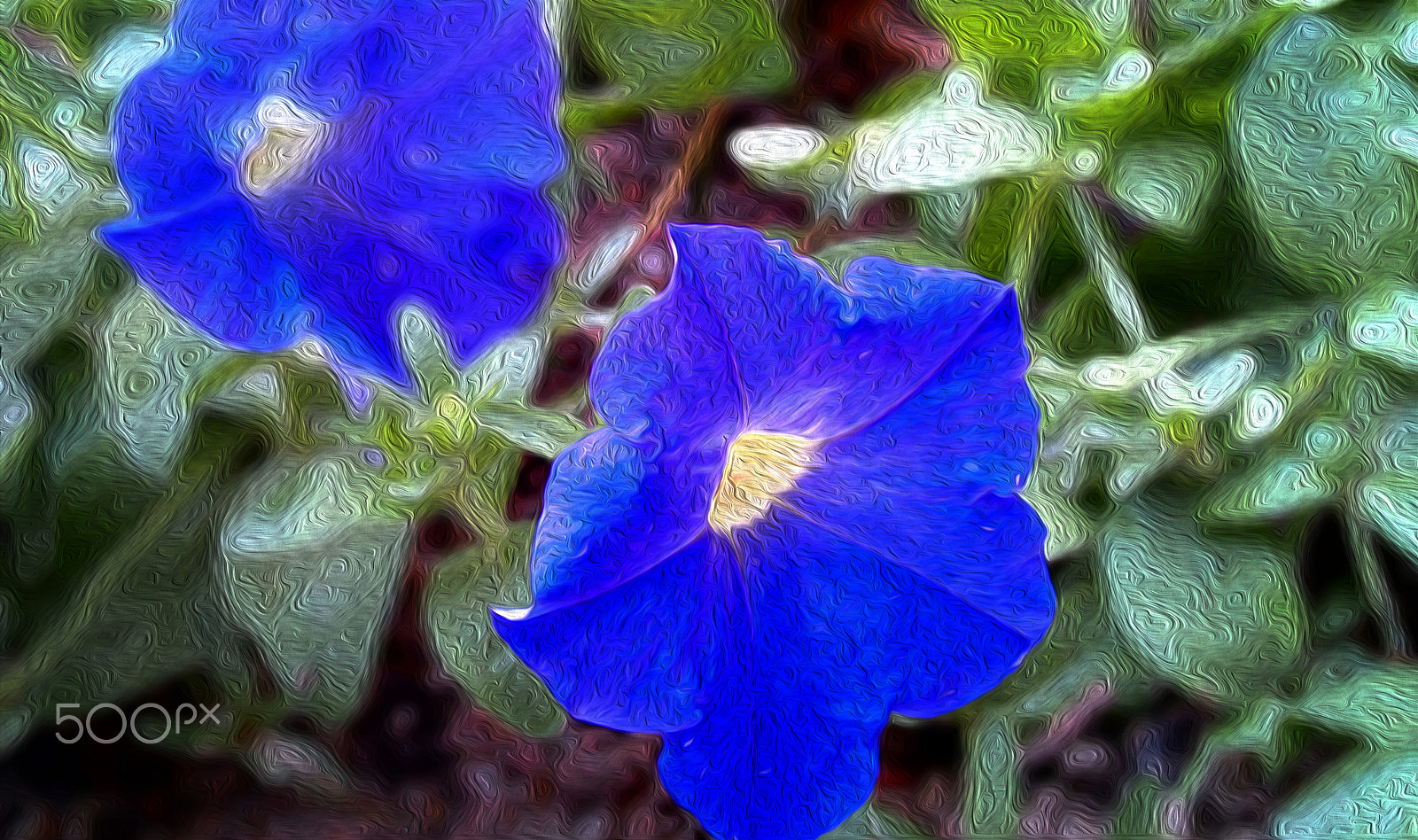 ASUS T00G sample photo. Flower in blue photography