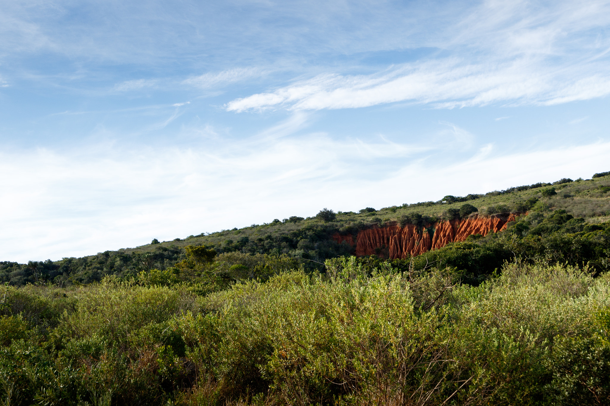 Canon EF 300mm f/2.8L sample photo. Green grass with soil erosion the addo elephant national park photography