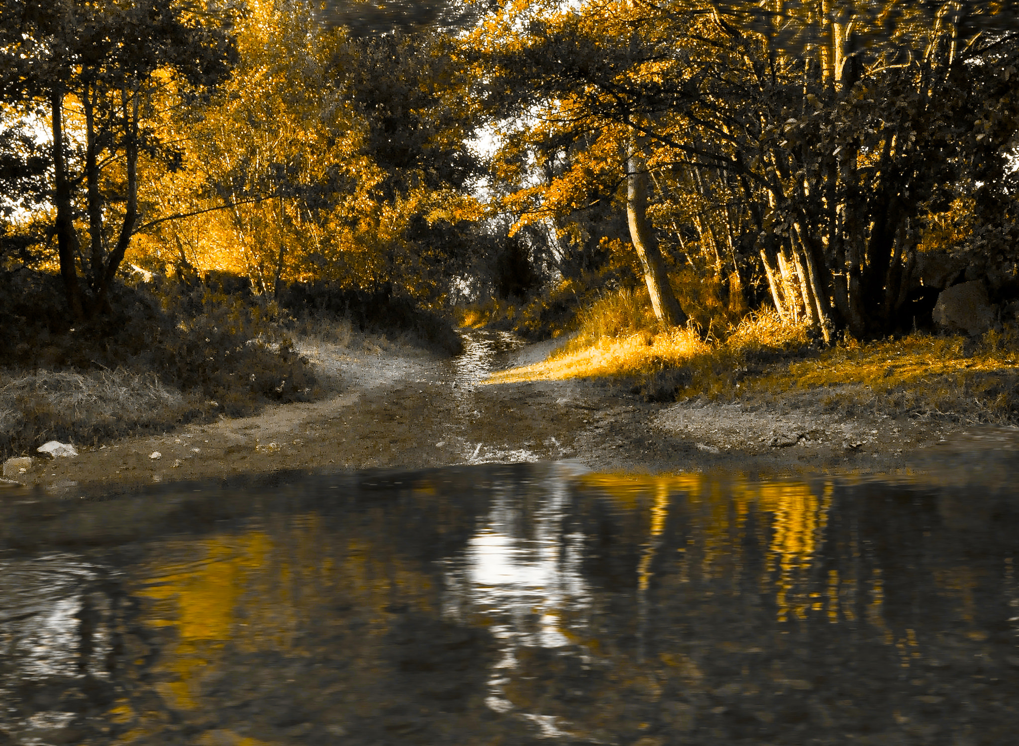 Nikon D5000 sample photo. Crossing the river photography