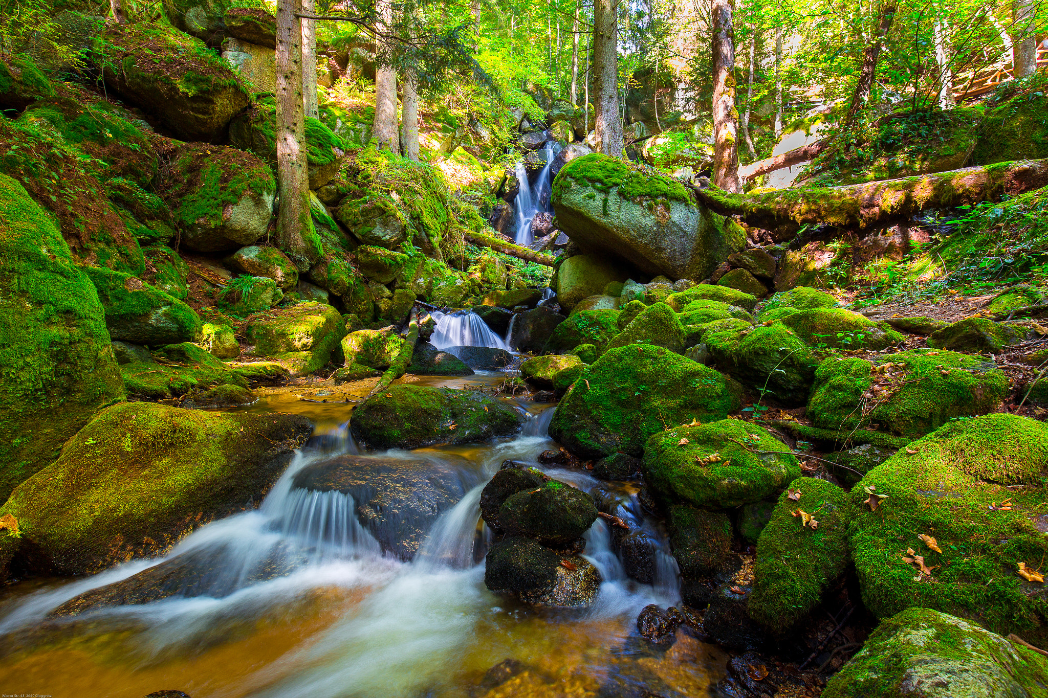 Canon EOS 6D + Canon EF 16-35mm F4L IS USM sample photo. Ysperklamm 04 photography