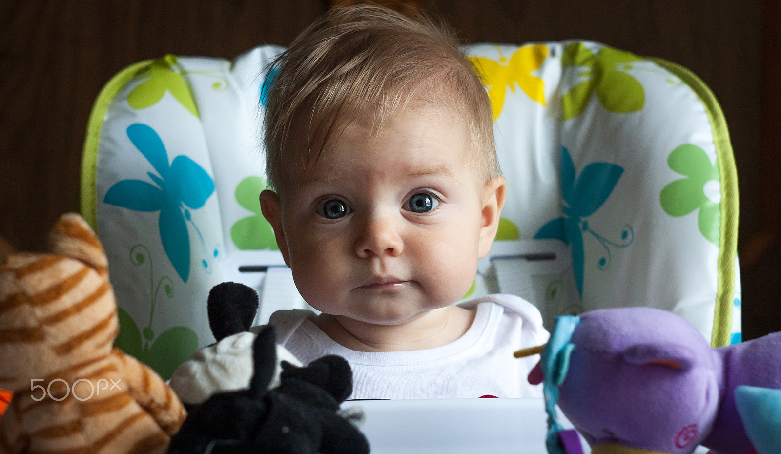 Canon EF 35-80mm f/4-5.6 sample photo. Victoria photography