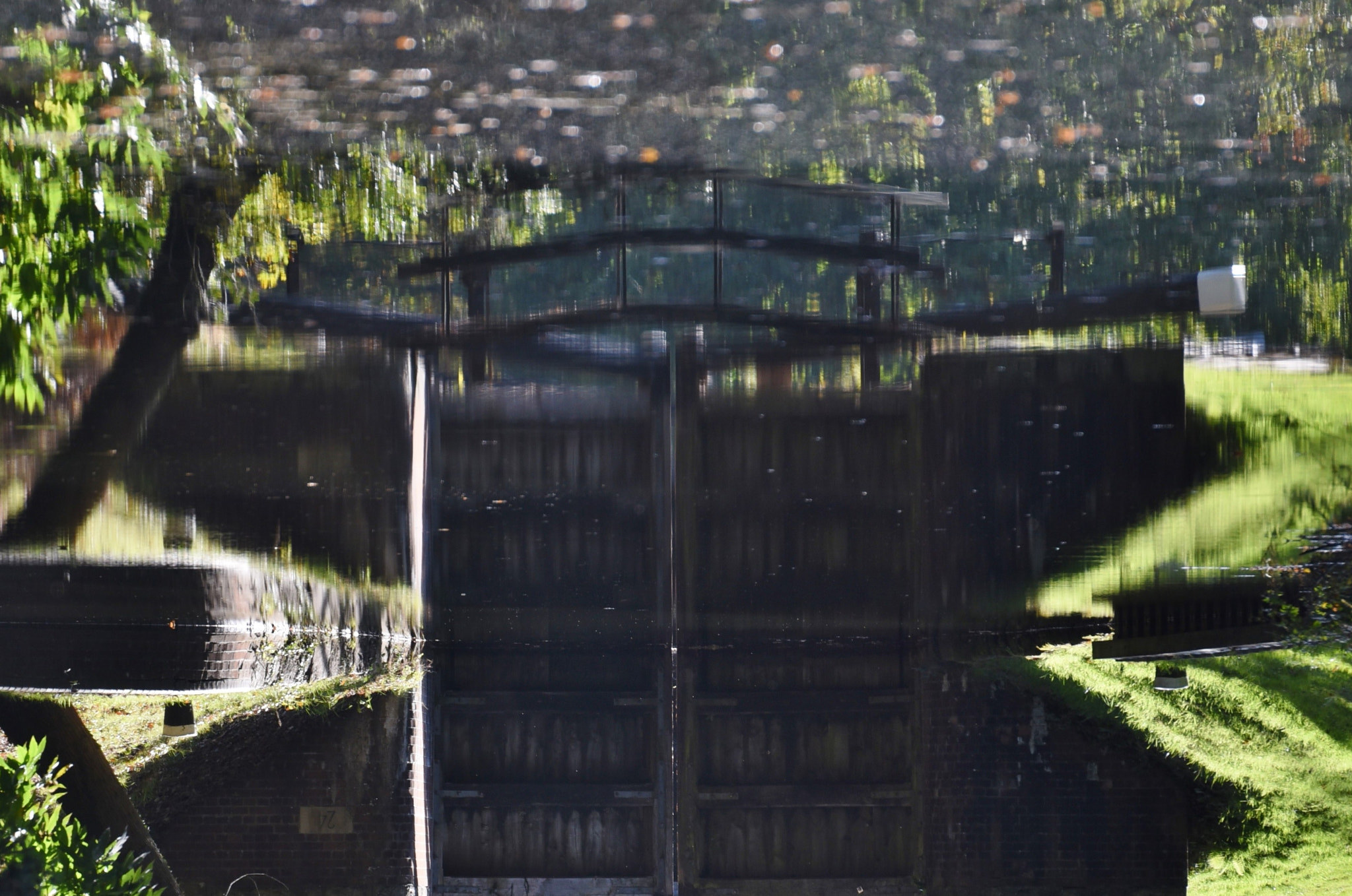 Sigma 50-500mm F4.5-6.3 DG OS HSM sample photo. Basingstoke canal pirbright 15 october 2016 040b photography