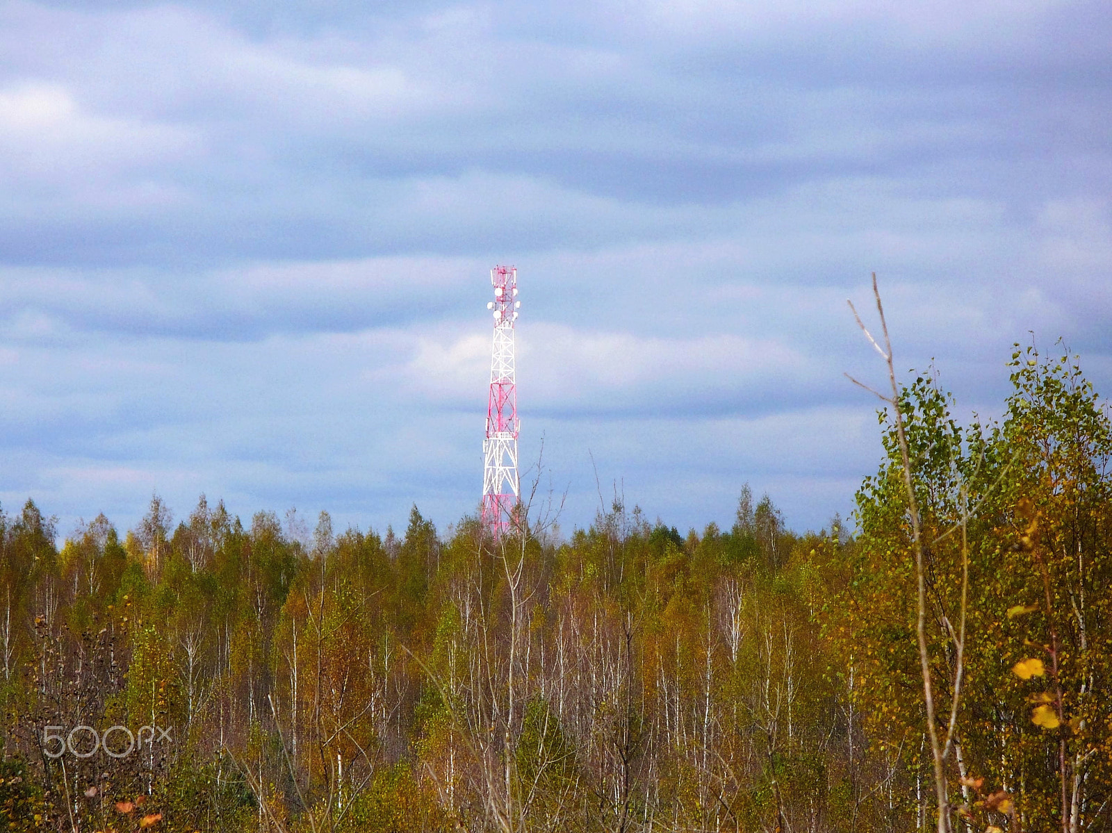 Panasonic DMC-LZ7 sample photo. Сlouds over the forest.Тучи над лесом. photography