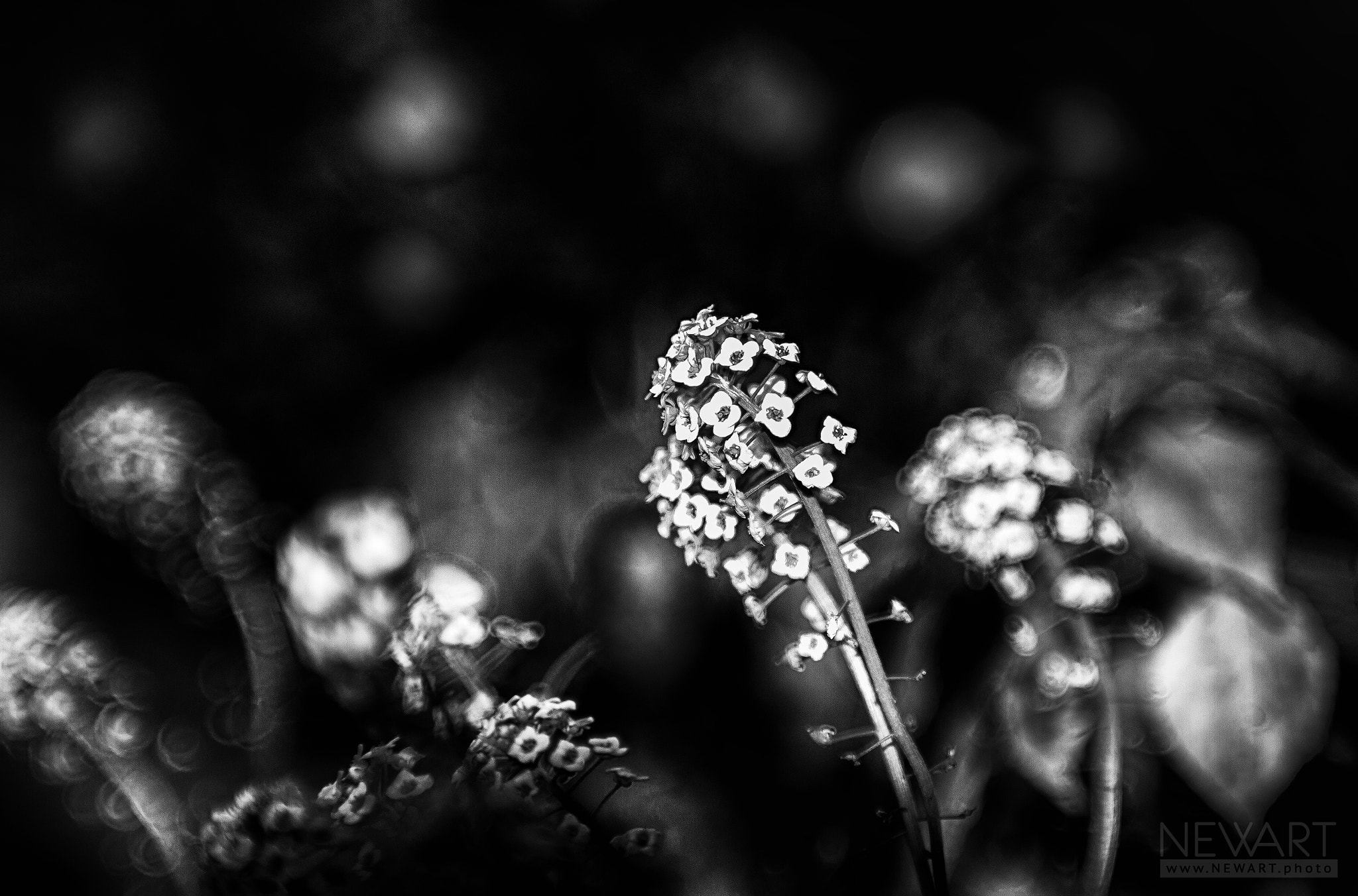 EF28-70mm f/2.8L USM sample photo. 5827 photography