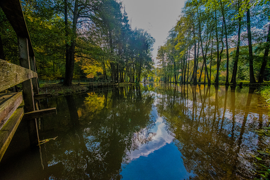 Sigma 12-24mm F4.5-5.6 II DG HSM sample photo. Reflecion in autumn photography