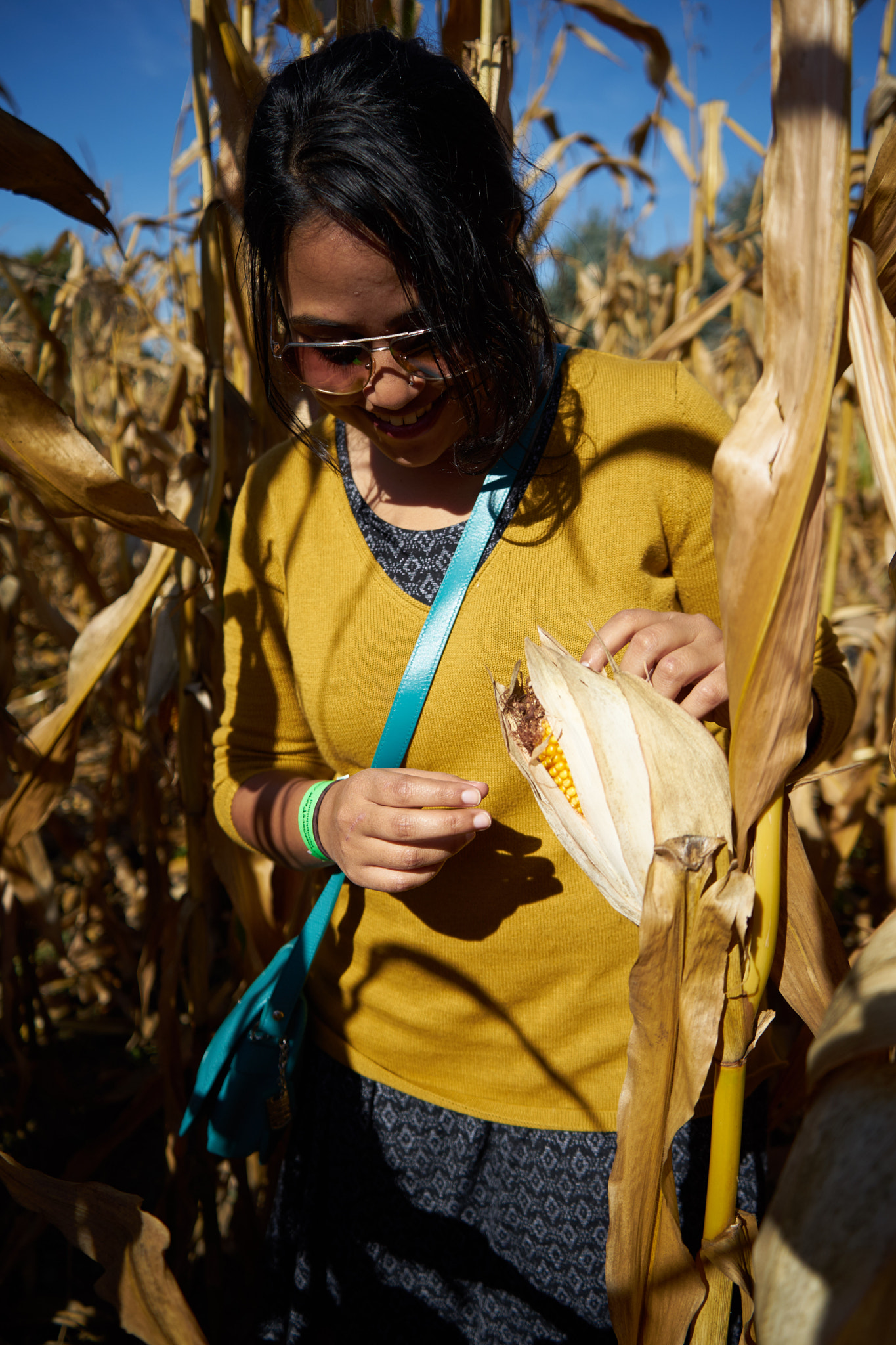 Sony FE 28-70mm F3.5-5.6 OSS sample photo. The corn stalks photography
